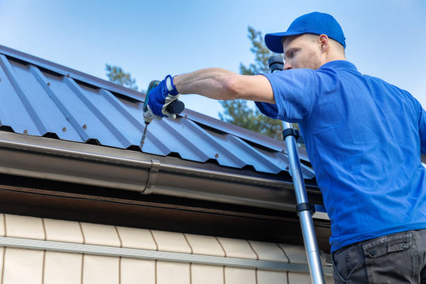 Best Gutter Installation and Repair  in Mount Pleasant, MI